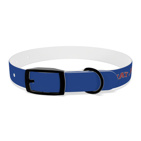 Letterman Dog Collar
